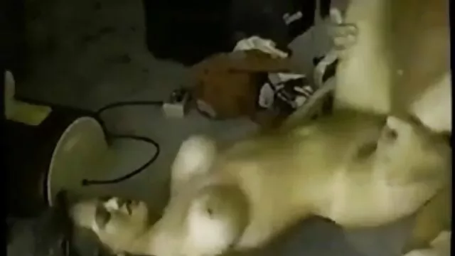 L'étudiante russe, sans attendre le mec, s'est installée sur un grand lit et, à l'aide de fantasmes et de les vidéos x arabe doigts, s'est satisfaite