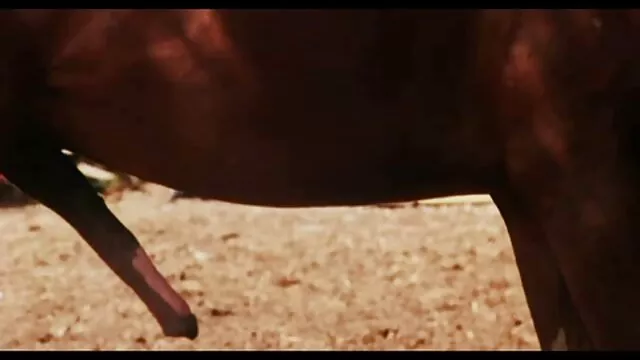 Anya ne craint vidéo x adulte pas de le prendre dans sa bouche